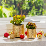 Stellar Pot - 14cm