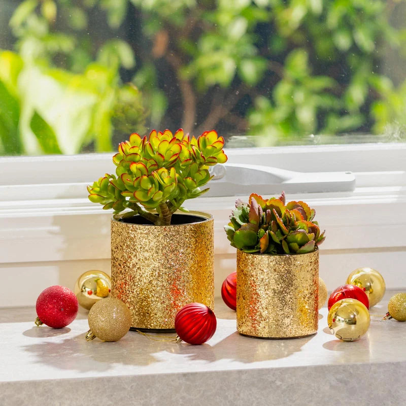 Stellar Pot - 14cm