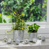 Stellar Pot - 14cm