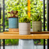 Suri Cylinder Pot -