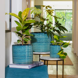 Suri Cylinder Pot -