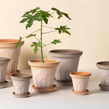 Fleur Pot -