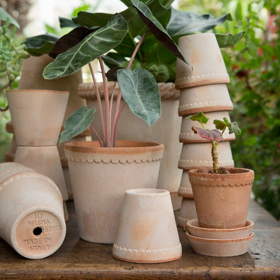 Helena Pot -