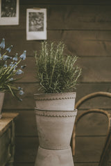 Helena Pot -