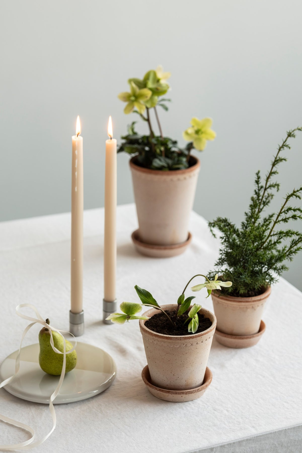 Helena Pot -