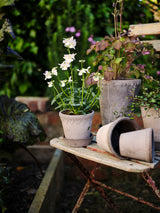 Kobenhavner Pot -