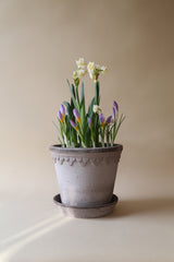 Kobenhavner Pot -