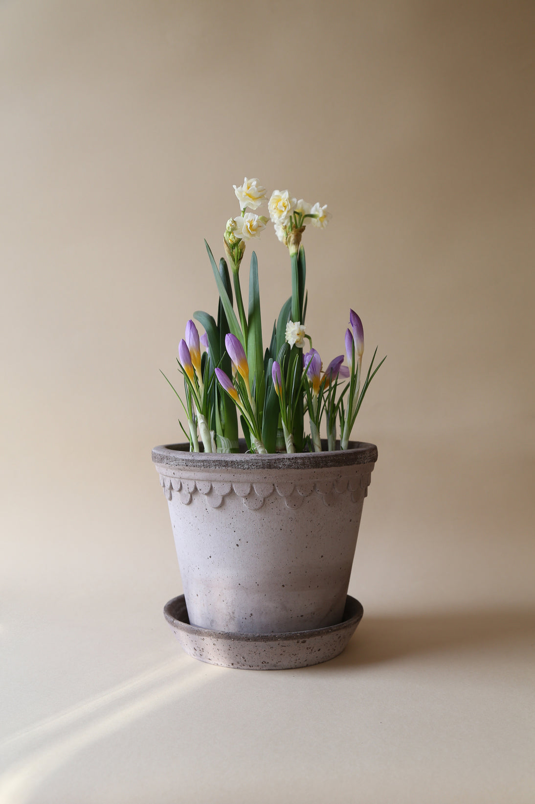 Kobenhavner Pot -
