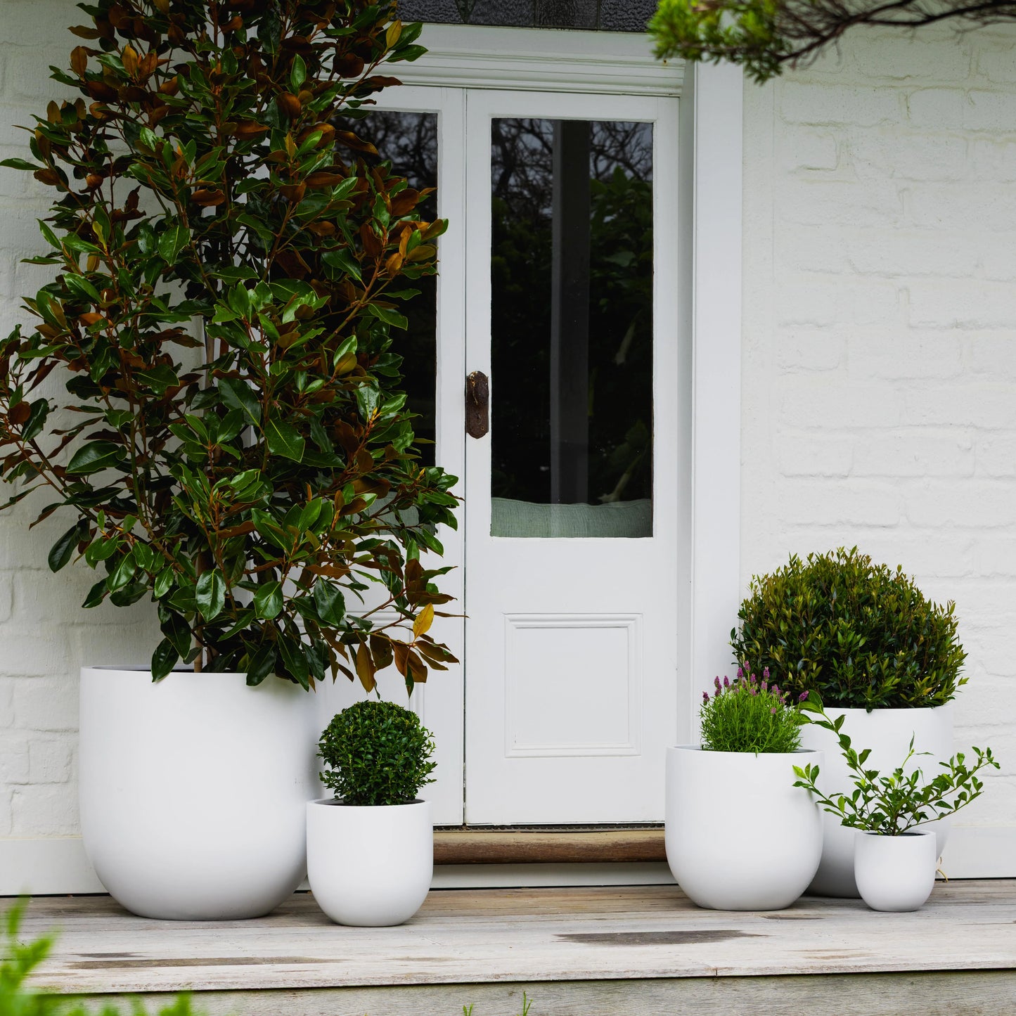 Satine Egg Pot -