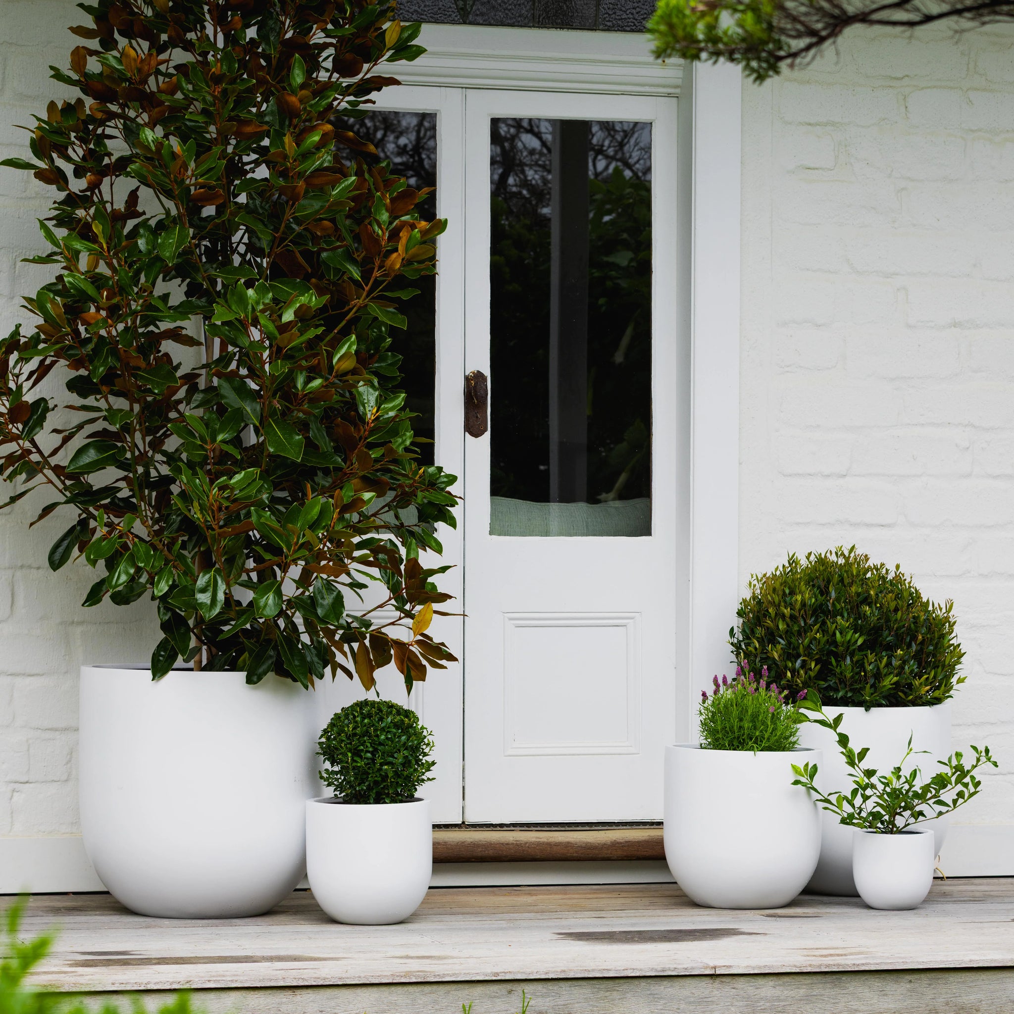 Satine Egg Pot -