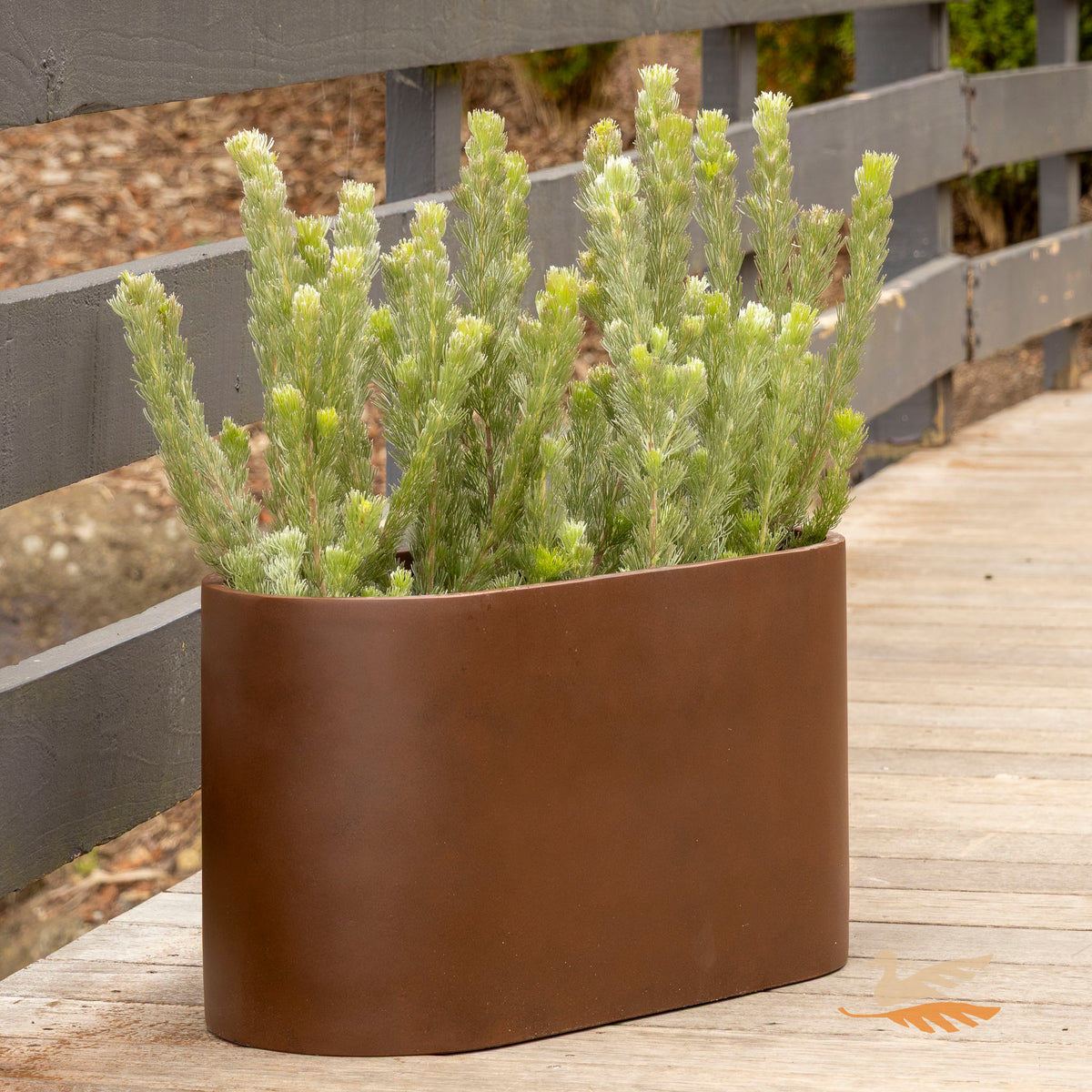 Satine Slot Pot -
