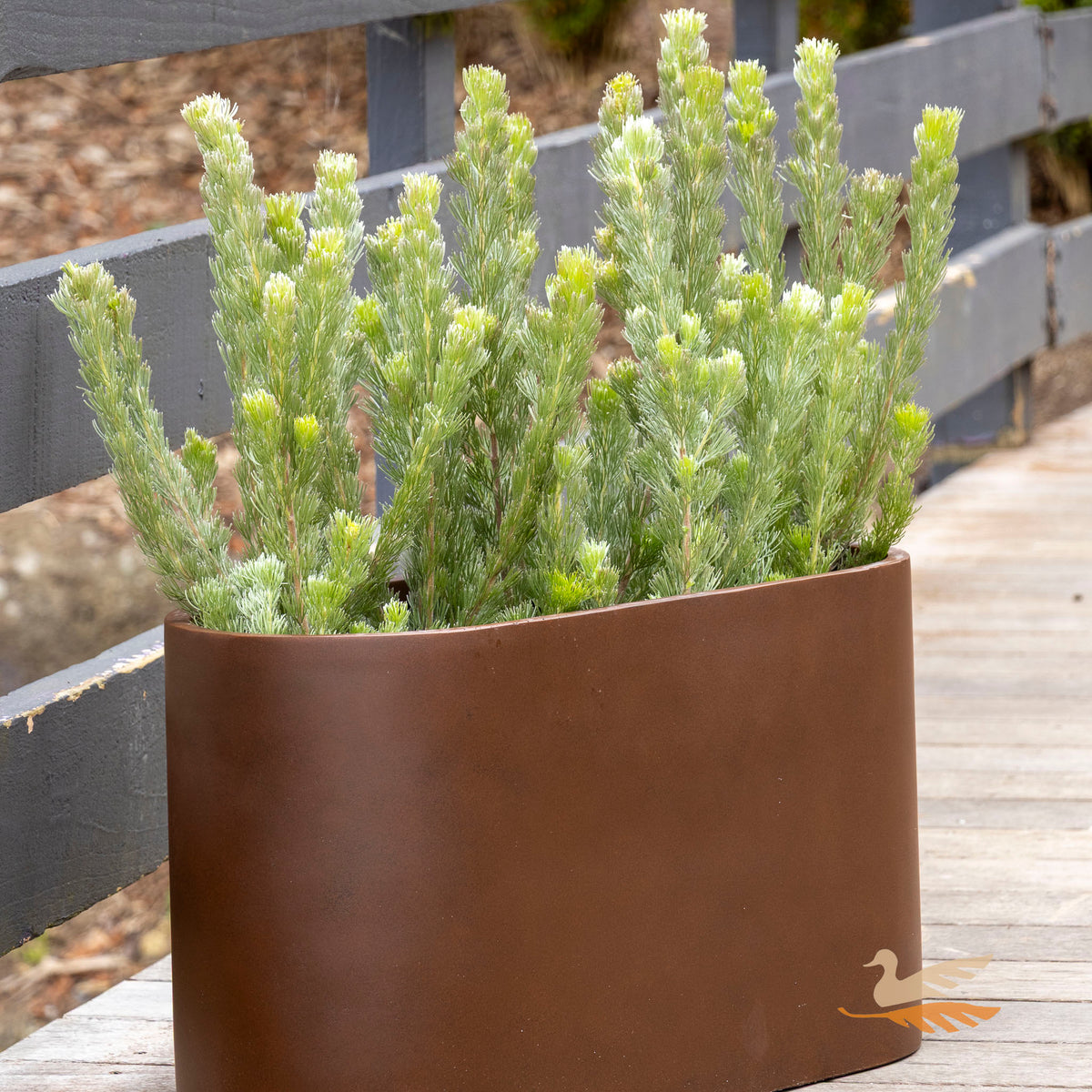 Satine Slot Pot -