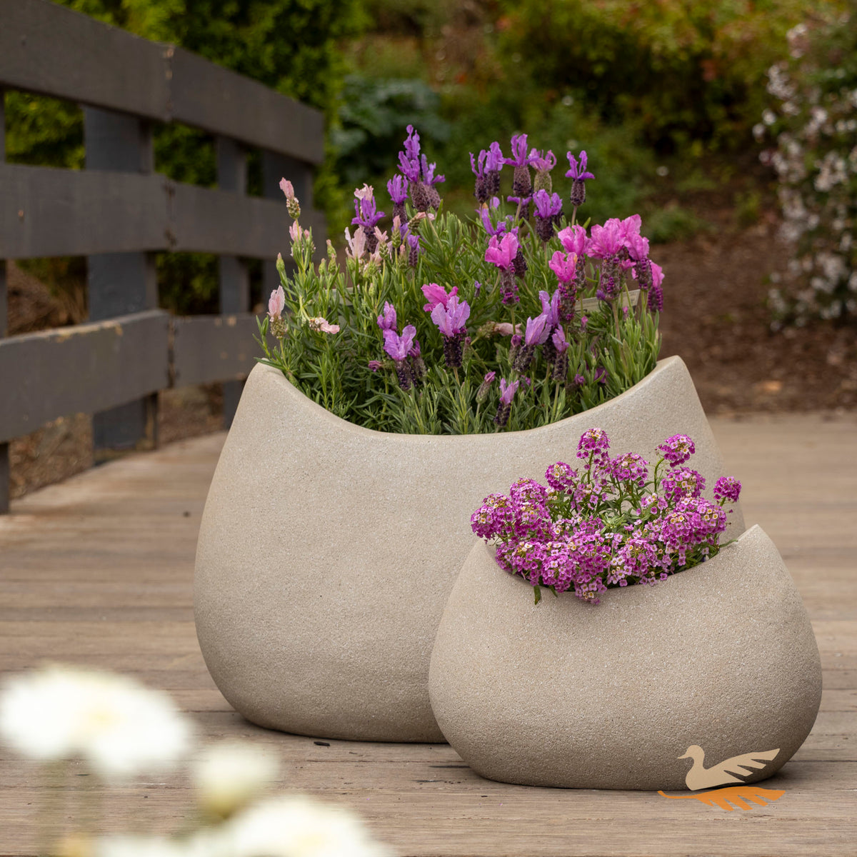 Vellum Rock -