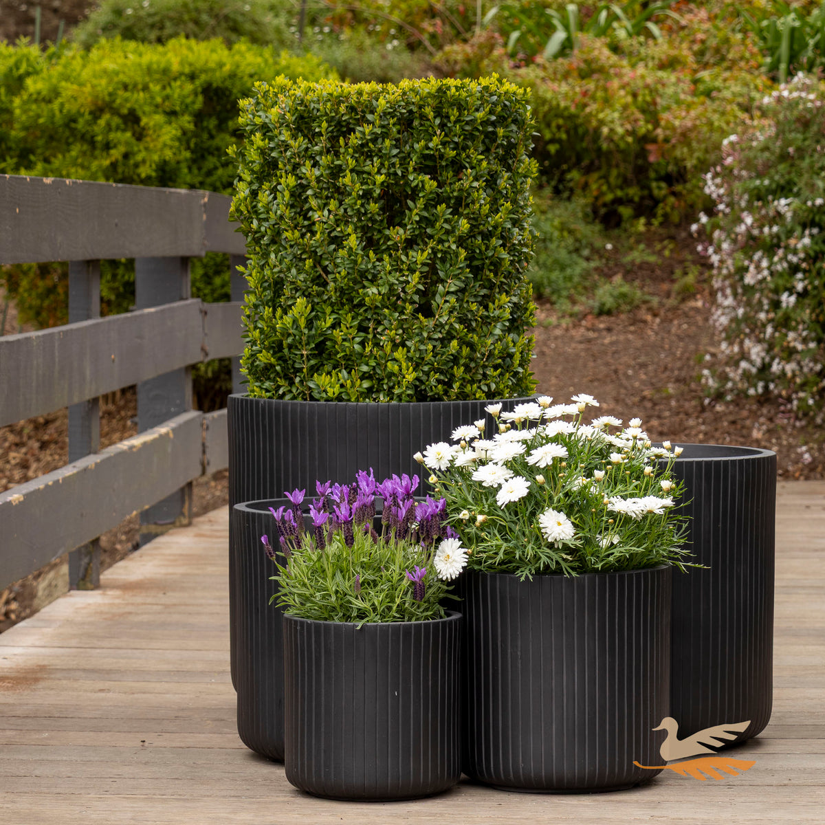 Vetra Cylinder -