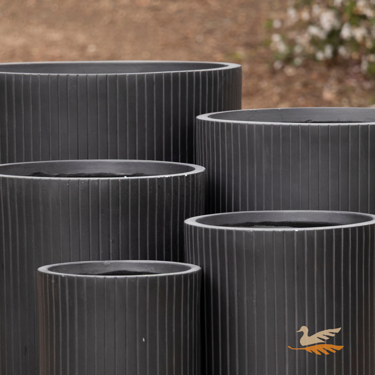 Vetra Cylinder -