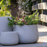Vellum Drum -