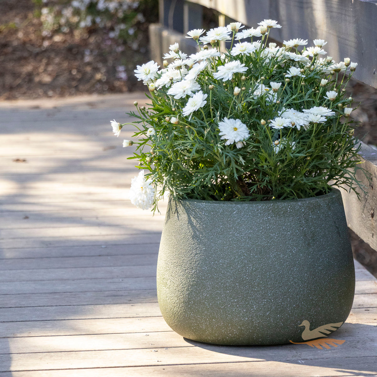 Vellum Drum -