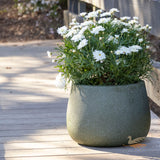 Vellum Drum -