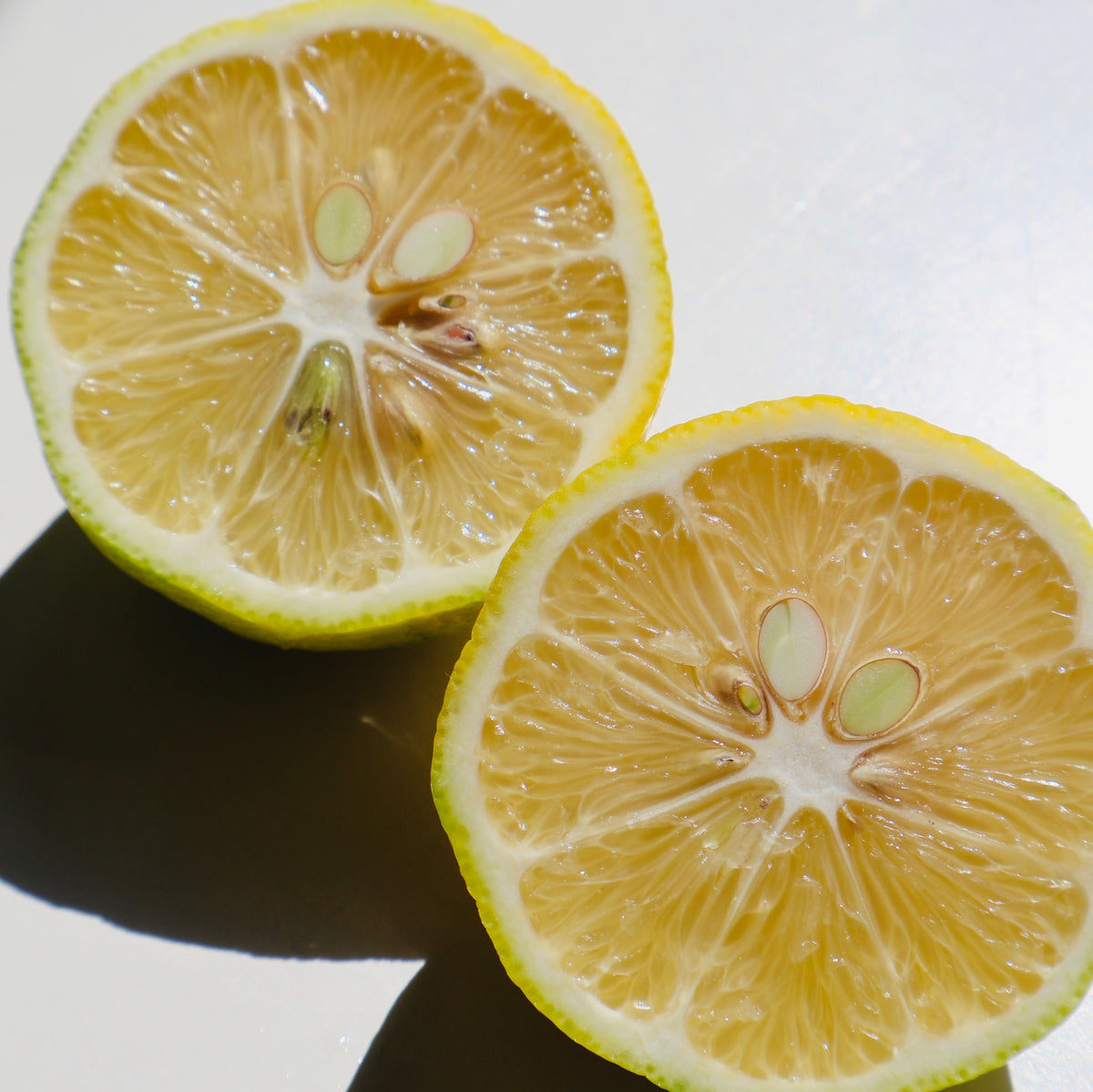 Lemon Yuzu - 4L Pot