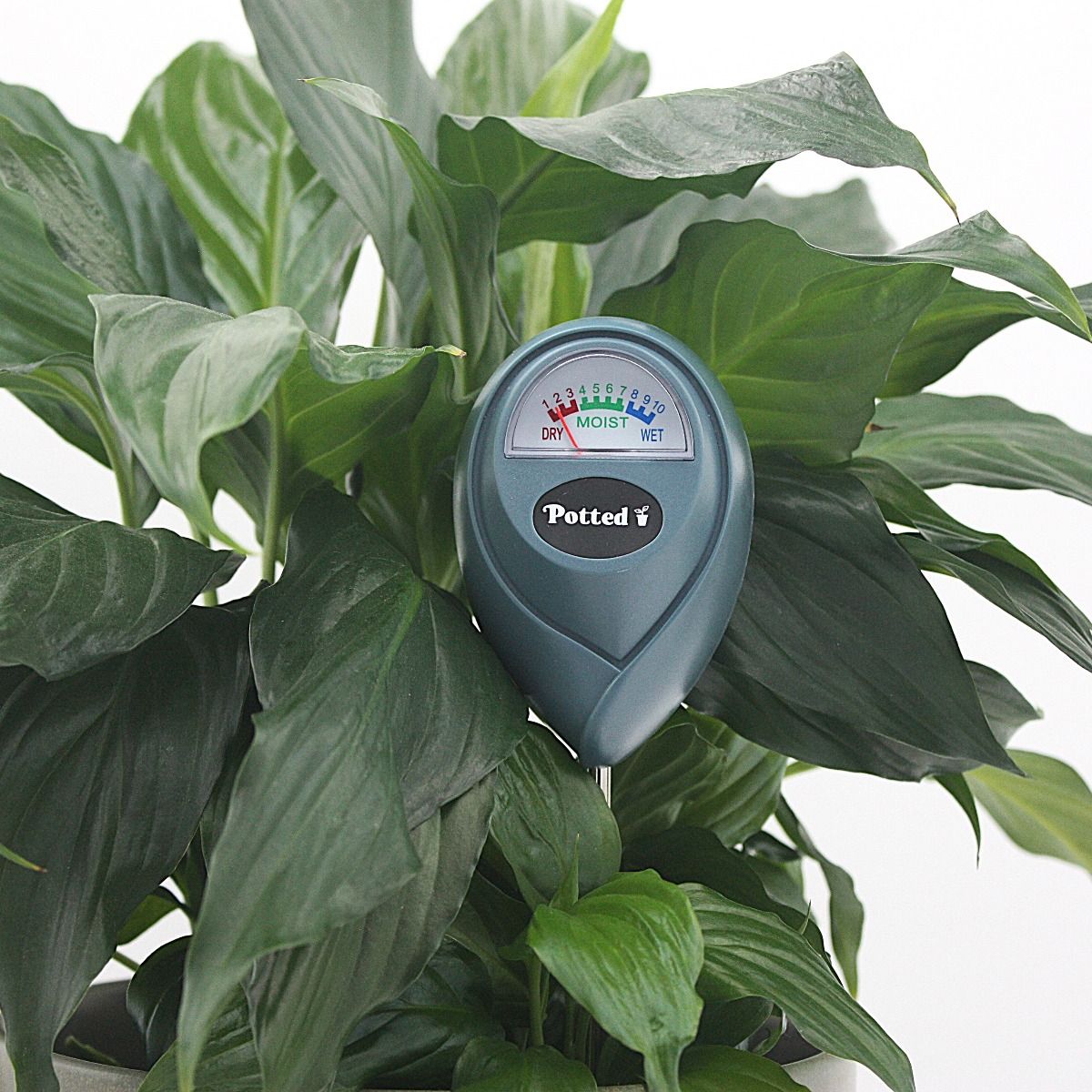 Indoor Moisture Meter -