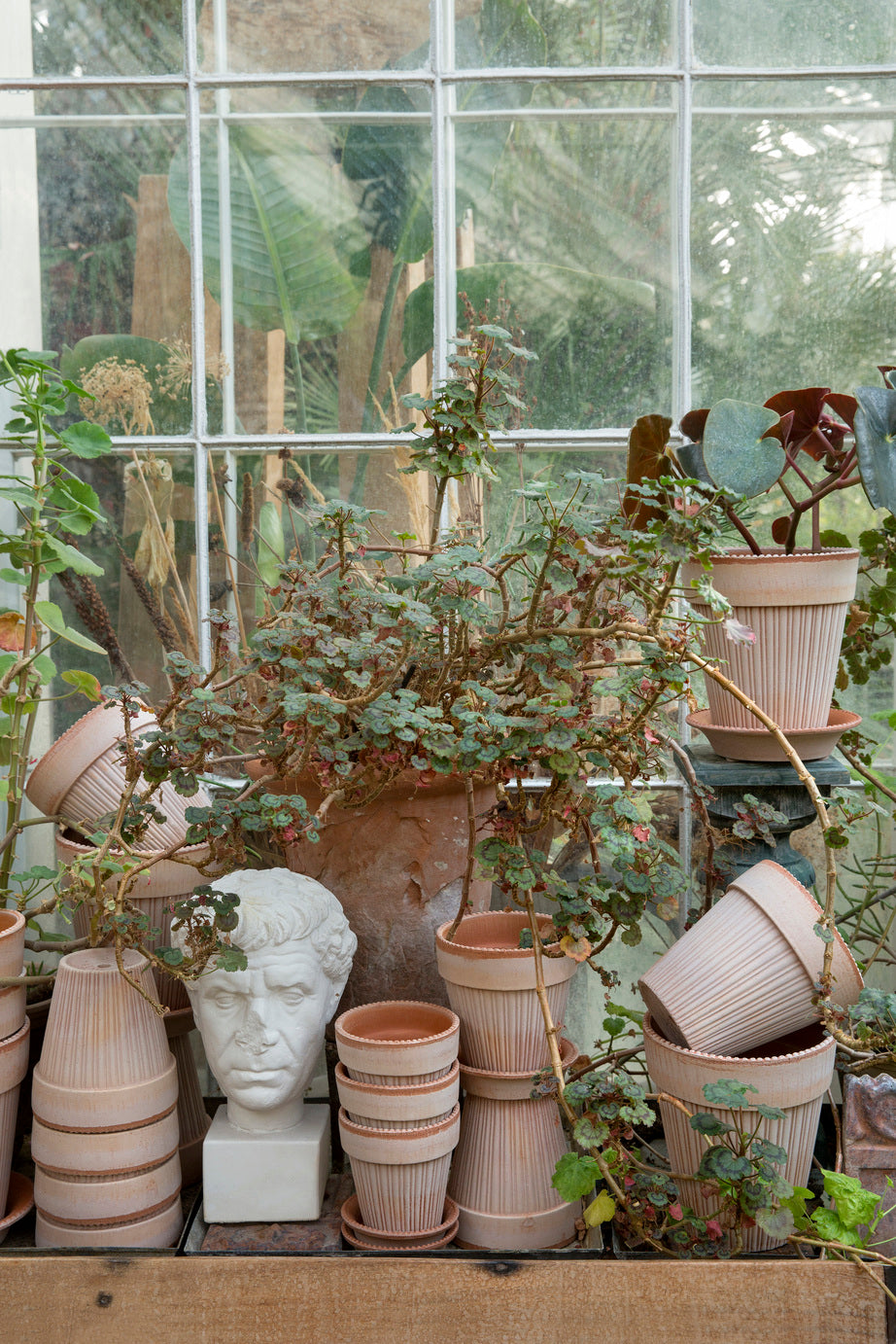 Simona Pot -