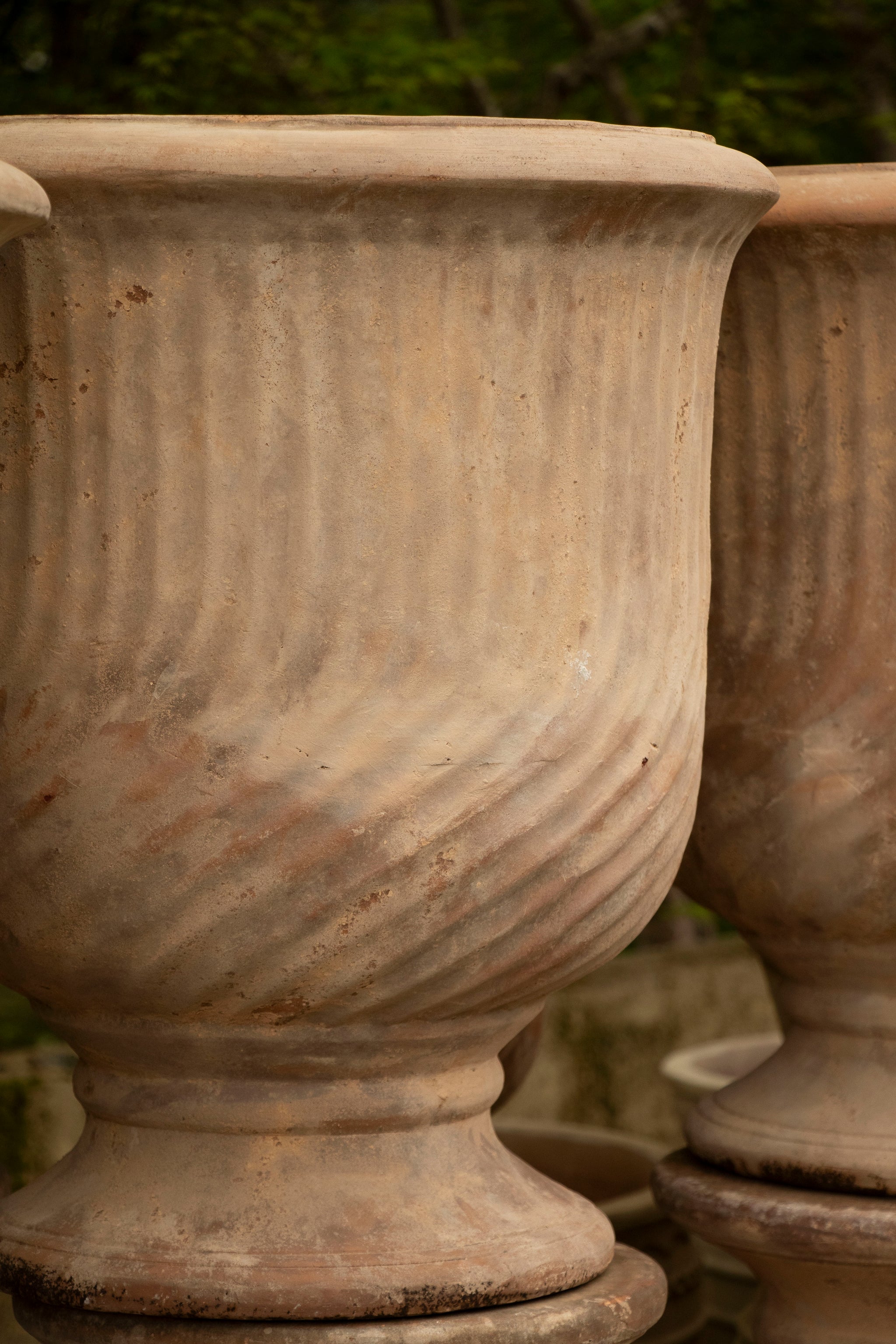 Charlotte Urn - Antiqua