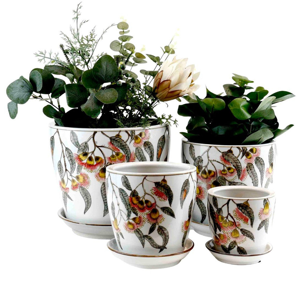 Silver Princess Planter -