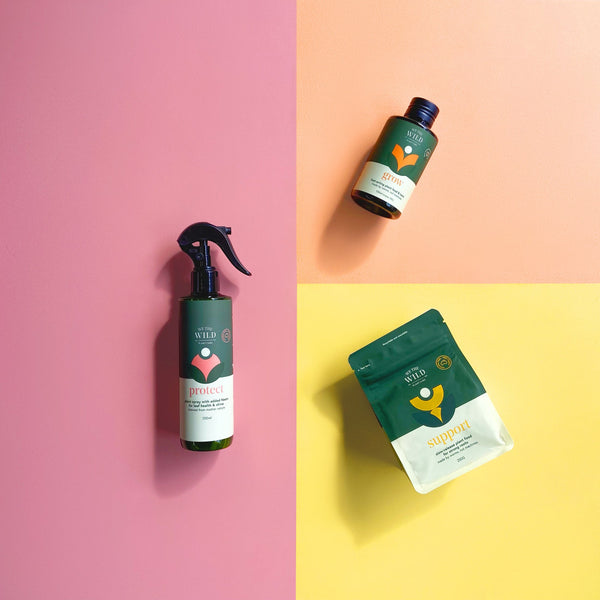 We The Wild Leafy Christmas Essential Kit