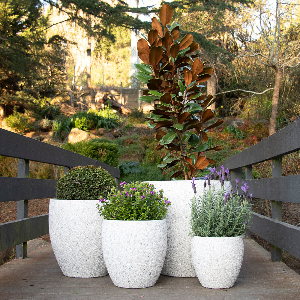 Montague Egg - White Pebble