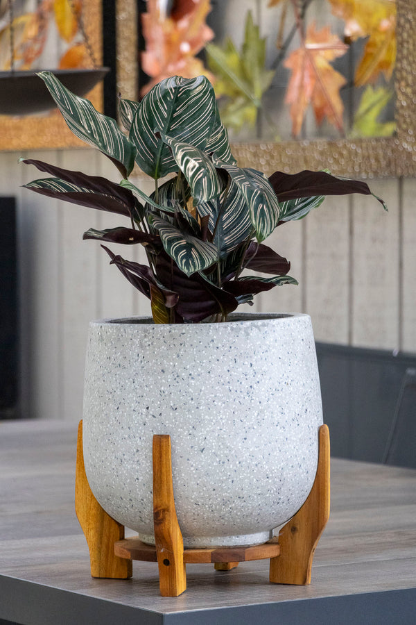 26cm Ollie Drum With Stand - Chalk Terrazzo