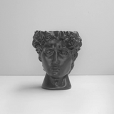David Vase Plant Holder