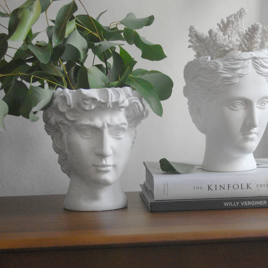 David Vase Plant Holder