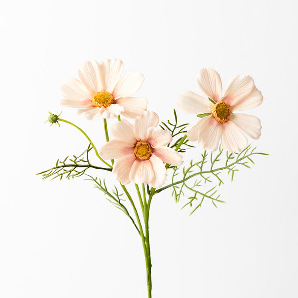 Cosmos Spray -