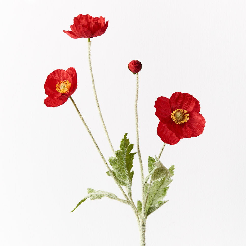 Poppy Iceland Spray - Red 60cm