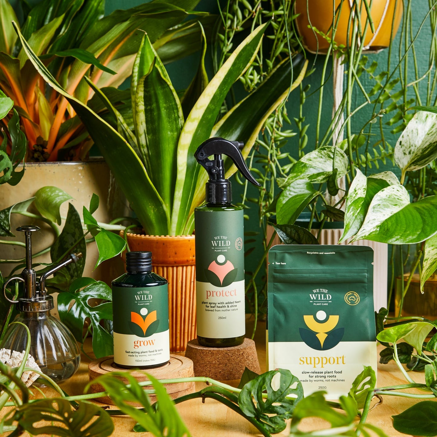 We The Wild Houseplant Care Essentials Kit