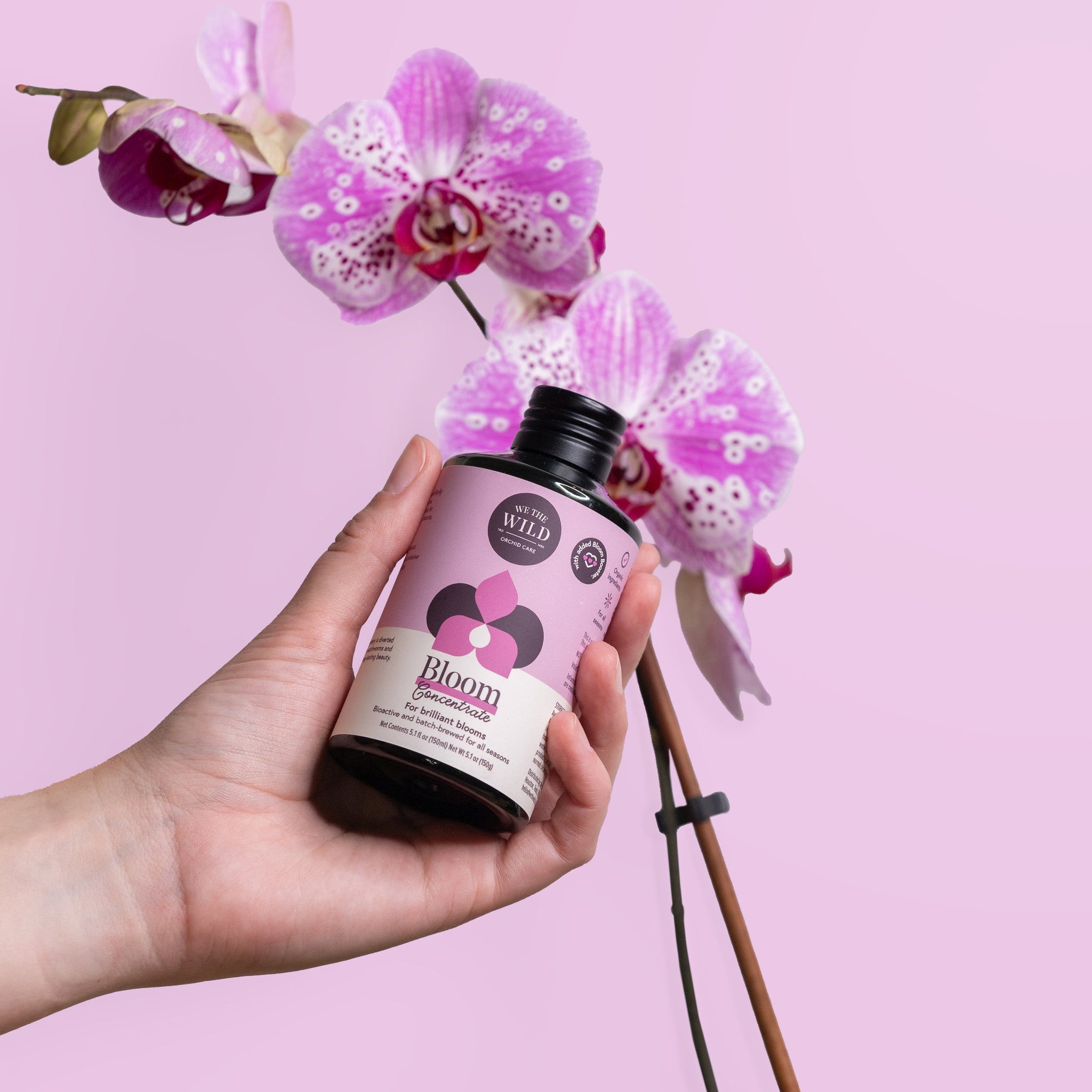 We The Wild Bloom Concentrate - 150ml