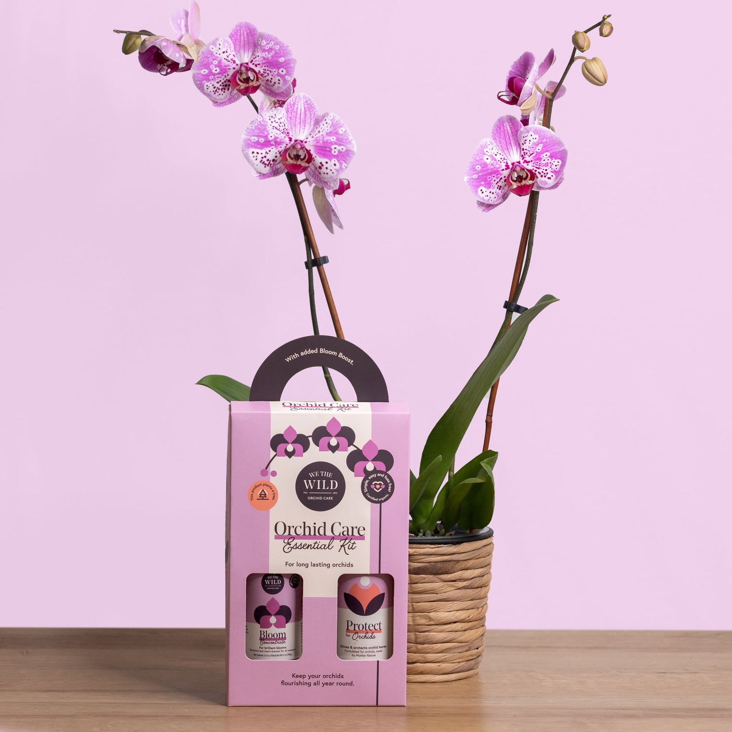 We The Wild Orchid Duo