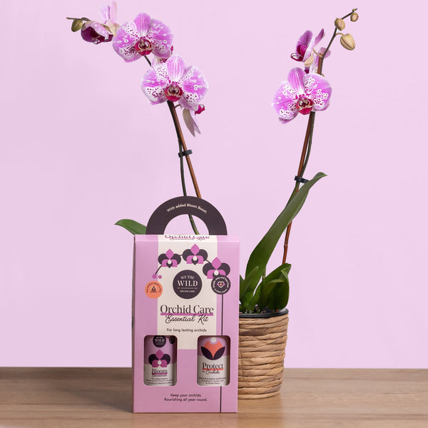 We The Wild Orchid Duo