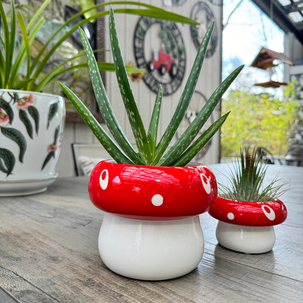 Mushroom Pot 14cm - Red