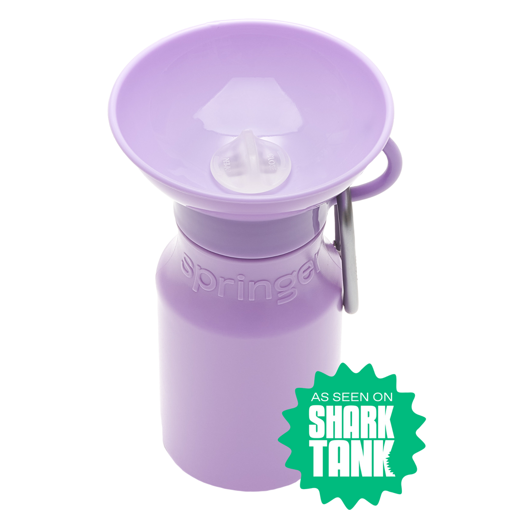 Mini Travel Bottle 15oz -