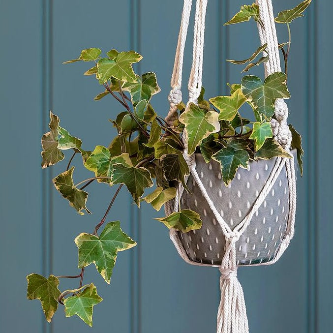 Glazed Pot - Macrame