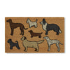 Doormat - Dog Park 45x75cm