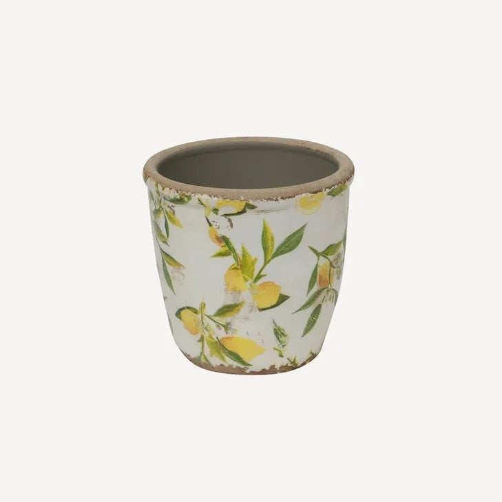 Botanical Lemon Pot - Small