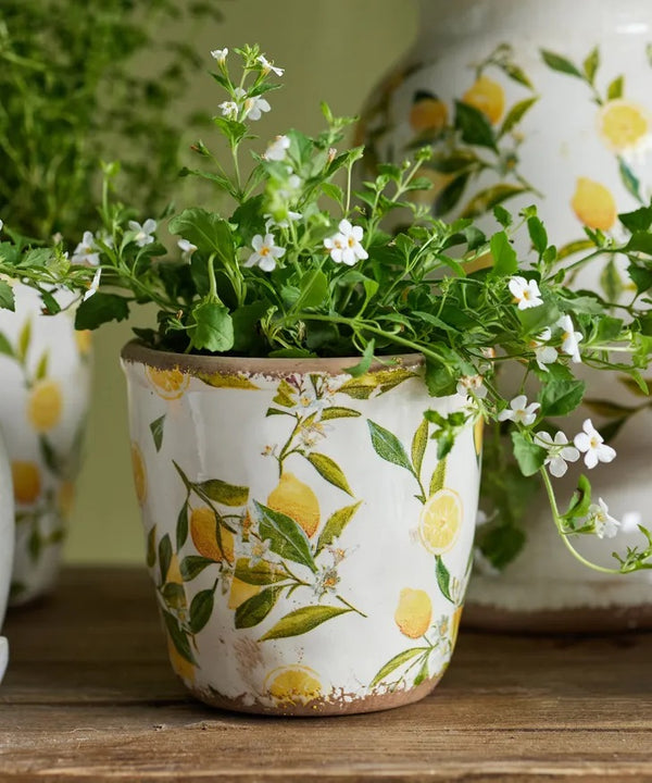 Botanical Lemon Pot - Small