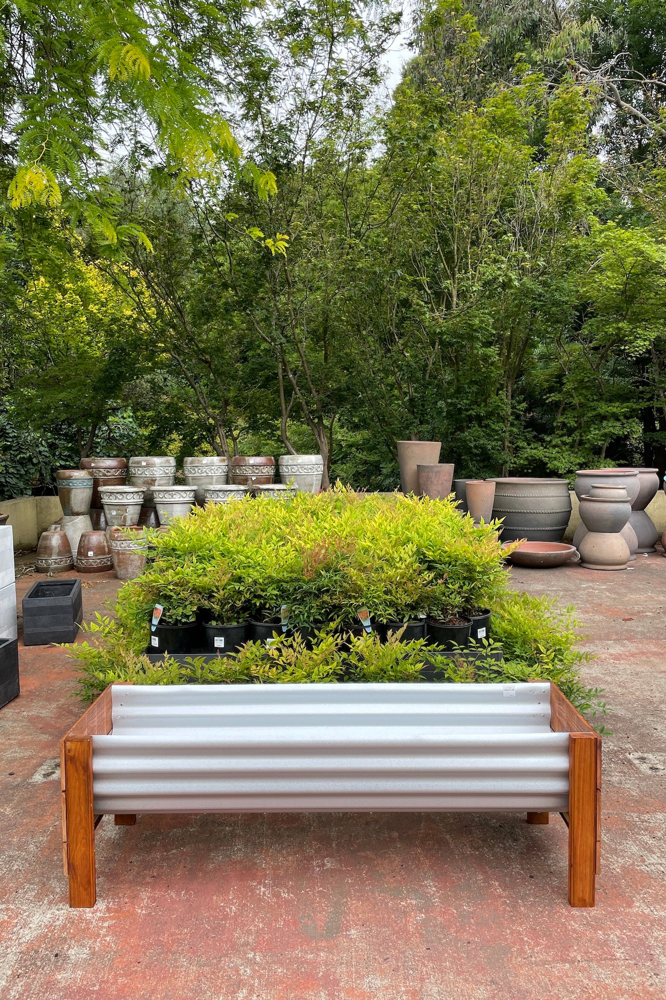 Peter Planter L