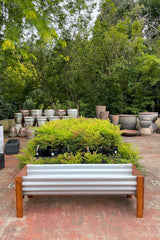 Peter Planter L