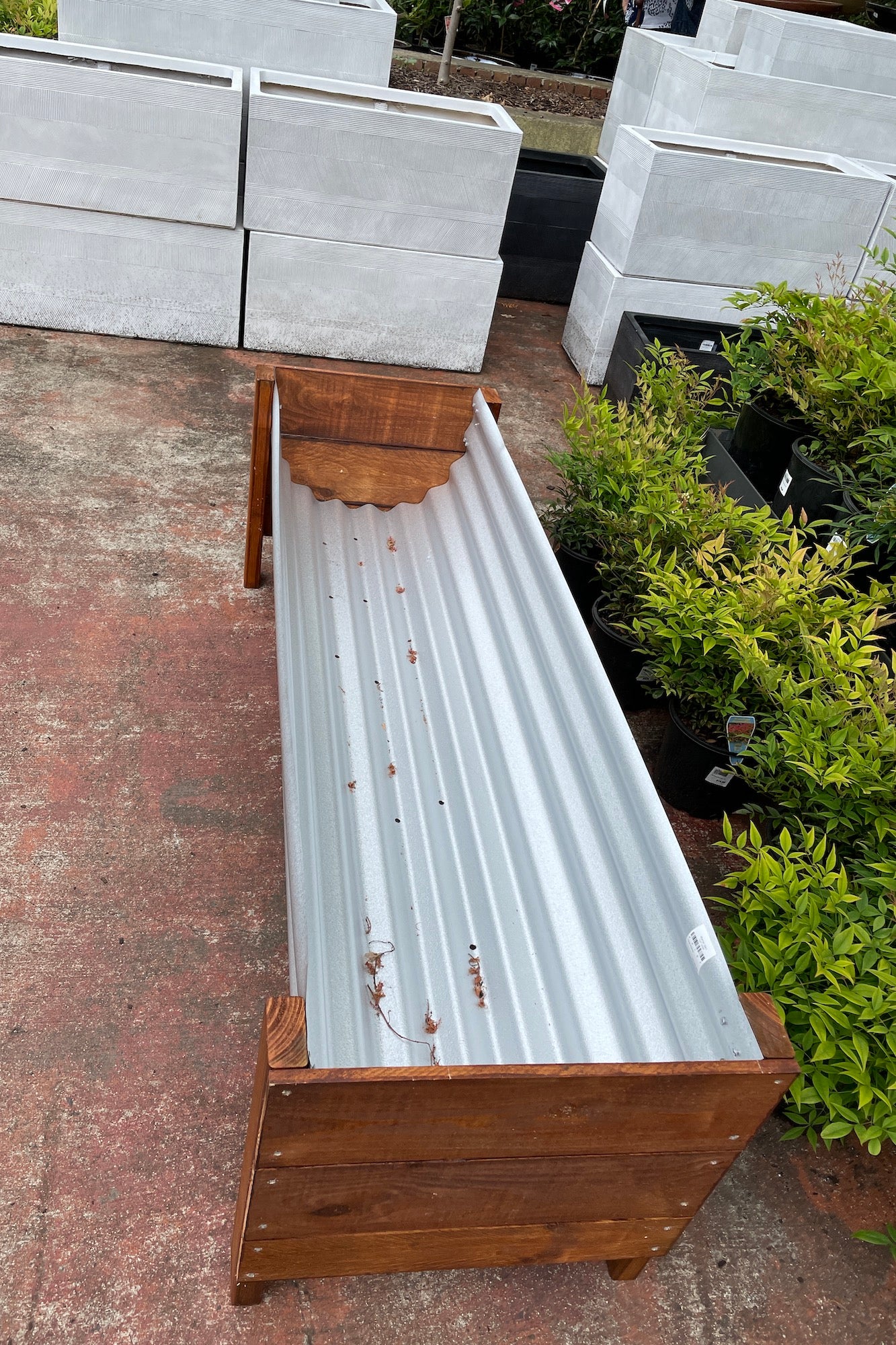 Peter Planter L