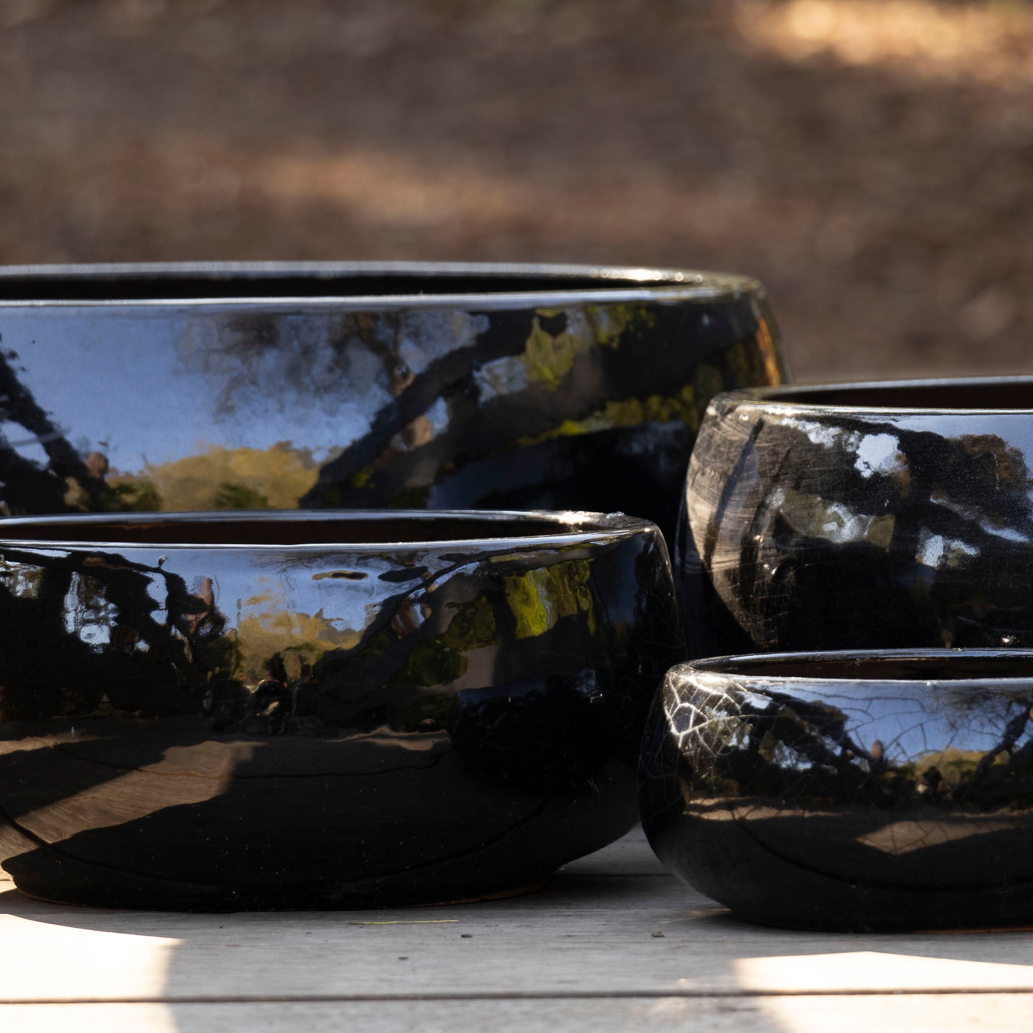 Hibachi Bowl -
