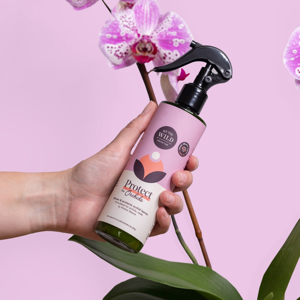 We The Wild Orchid Protect Spray - 250ml