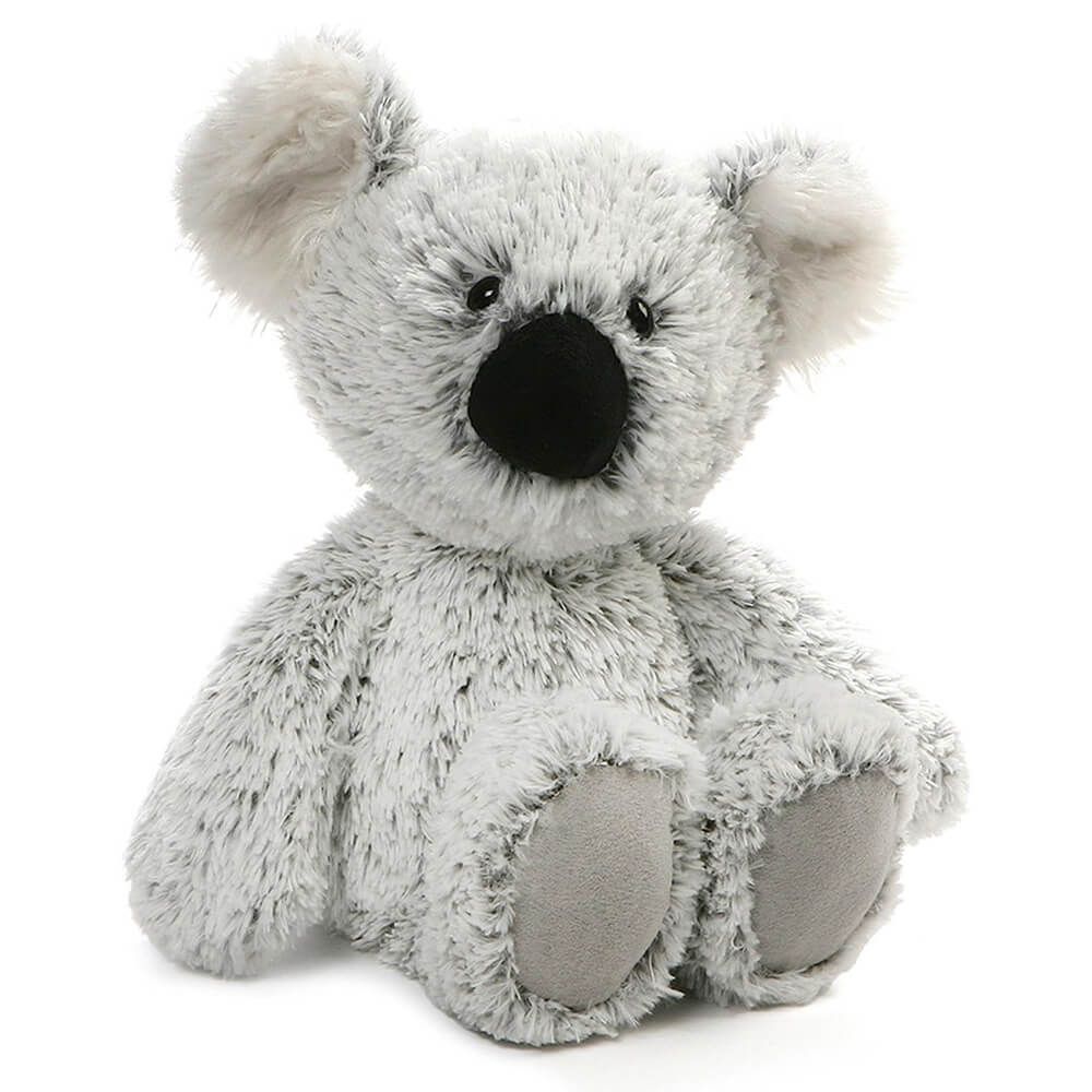 Koala: William